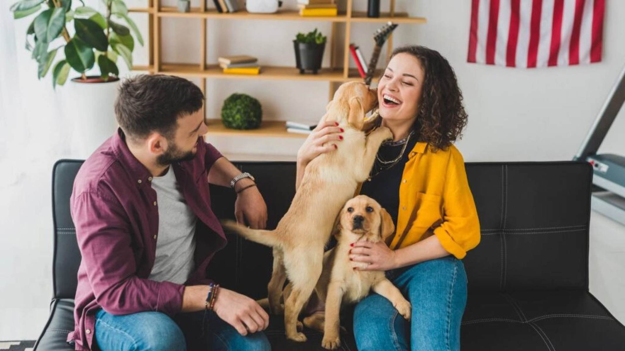 Pesquisa mostra que alguns cães aprendem palavras sem treino direto - Portal Giro 10