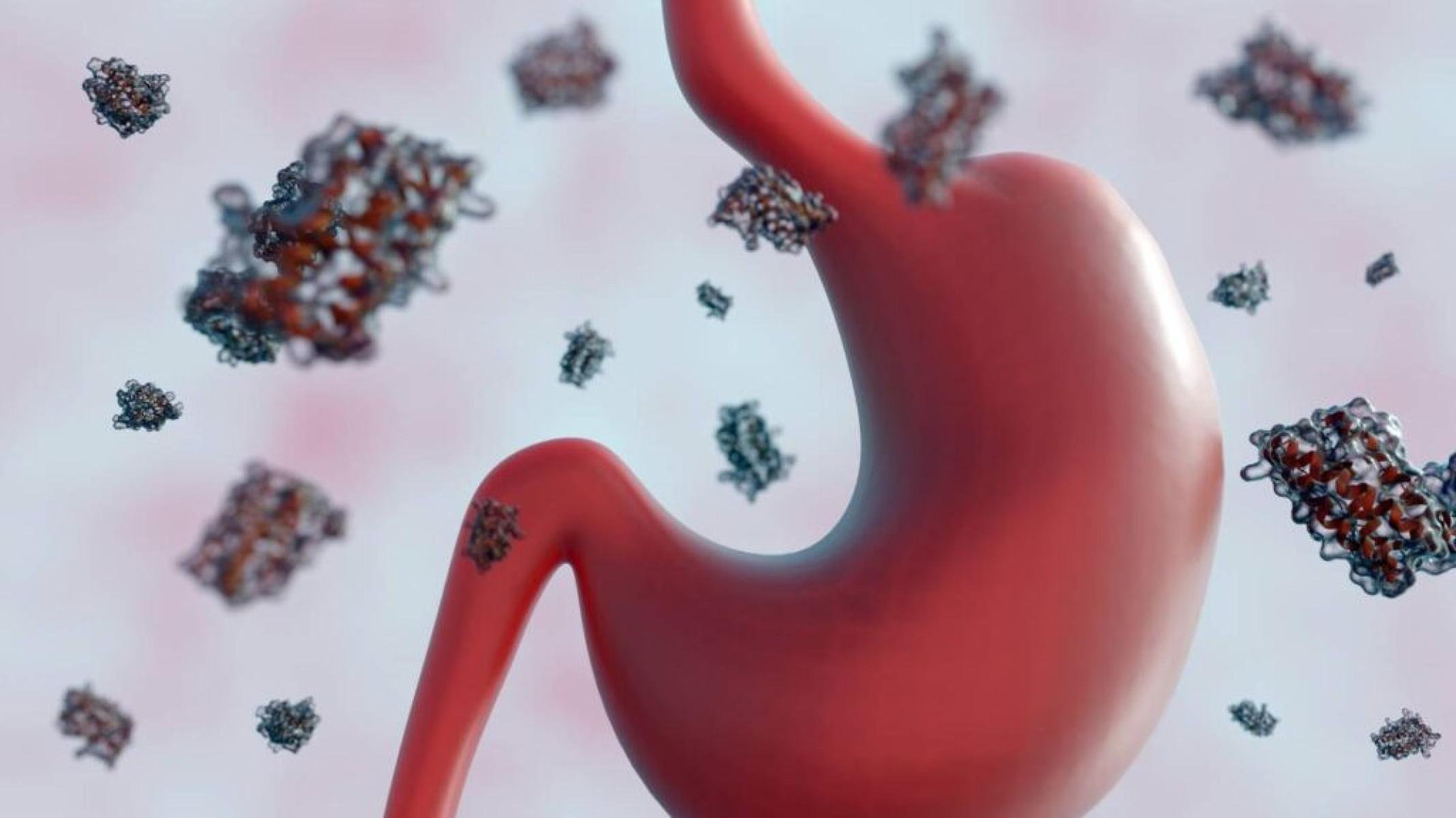 Saiba tudo sobre o hormônio que regula digestão e saciedade - Portal Giro 10