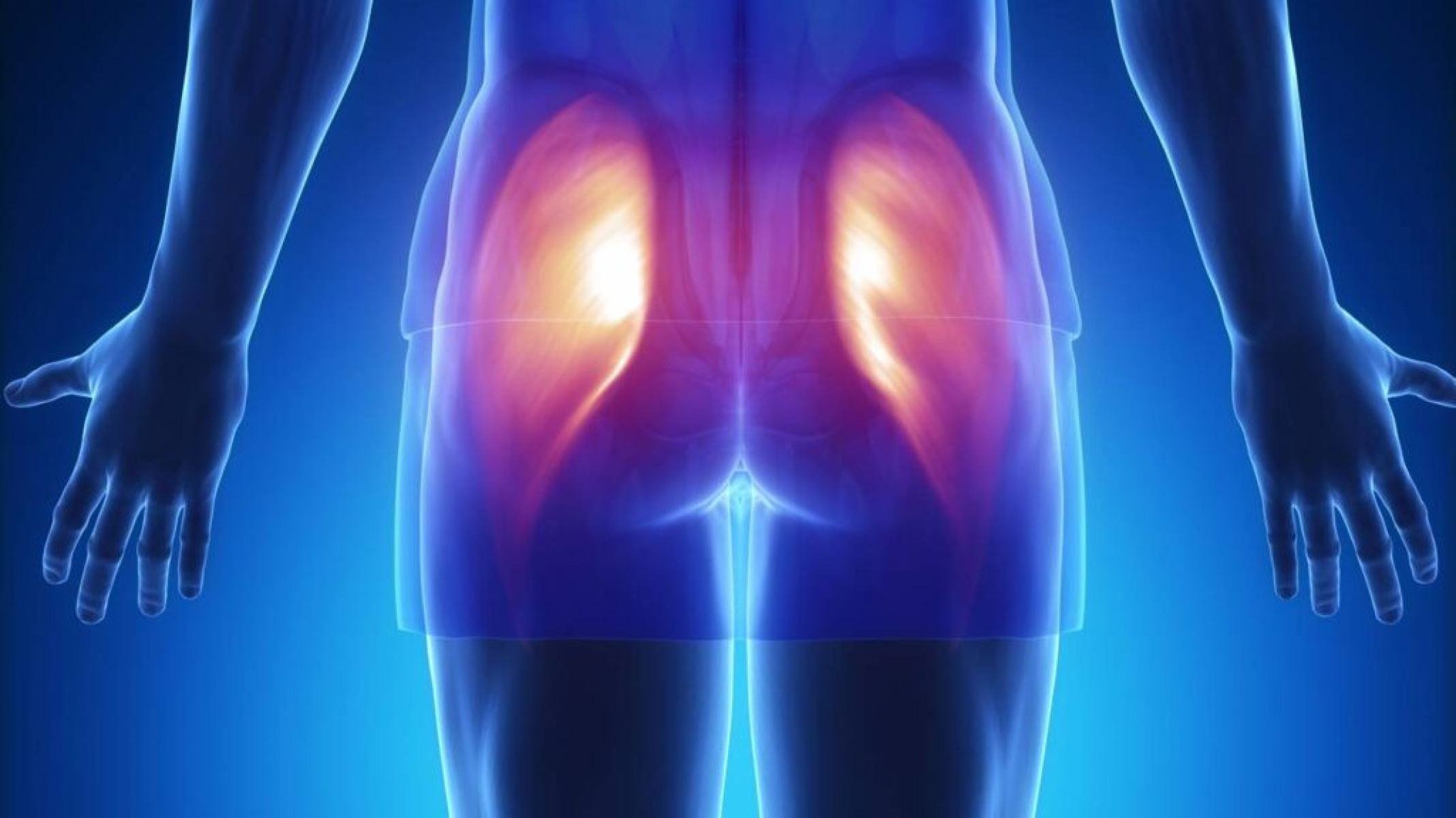 A bunda que move o mundo: conheça o maior músculo do corpo - Portal Giro 10