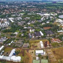 Estudo alerta sobre risco de um dos derivados do coco - Divulgação UNICAMP