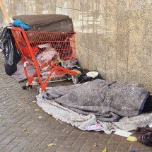 Lei permite espaço para pets de pessoas em situação de rua em abrigos de BH - Jair Amaral/EM/D.A Press