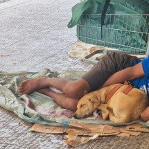 Lei permite espaço para pets de pessoas em situação de rua em abrigos de BH - Jair Amaral/EM/D.A Press