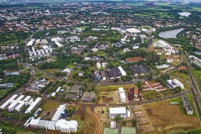 Um estudo da Universidade de Campinas (Unicamp) revelou informações importantes que servem de alerta para o consumo do óleo de coco. O alimento pode provocar um aumento significativo no ganho de peso -  (crédito: Divulgação UNICAMP)