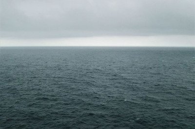 Os cientistas sabem mais sobre o espaço sideral do que sobre o oceano e estimam que 90% das criaturas abissais ainda sejam desconhecidas para a Ciência. -  (crédito: jjm596 wikimedia commons )