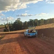 Ataques sucessivos de abelhas deixam vítimas no Sul; um homem morreu - reprodução TV Globo