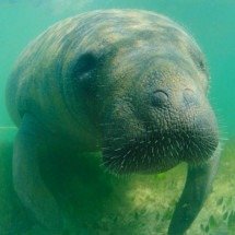 Como uma mentira inocente virou uma tradição familiar por 24 anos - Luciano Candisani/Acervo FMA