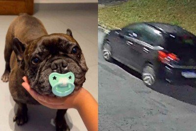 Imagens de câmera de segurança mostram um carro em atitude suspeita momentos depois de que o cachorro saiu pelo portão da casa -  (crédito: Imagens cedidas ao Jornal Estado de Minas)