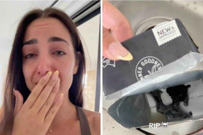 Mulher descobriu mofo no leite de amêndoas, depois que já havia bebido dele -  (crédito: TikTok / reprodução)