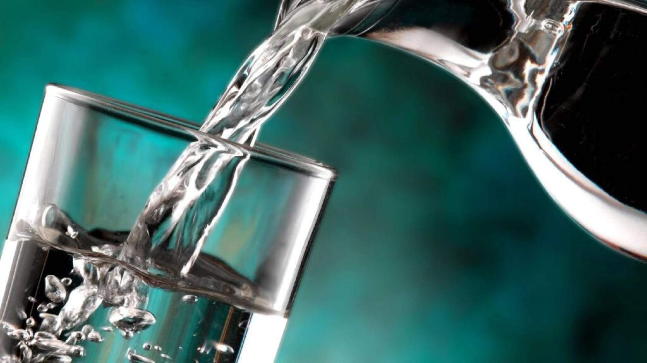 Água de cacto: nutrição saudável ou perigo oculto? - Portal Giro 10