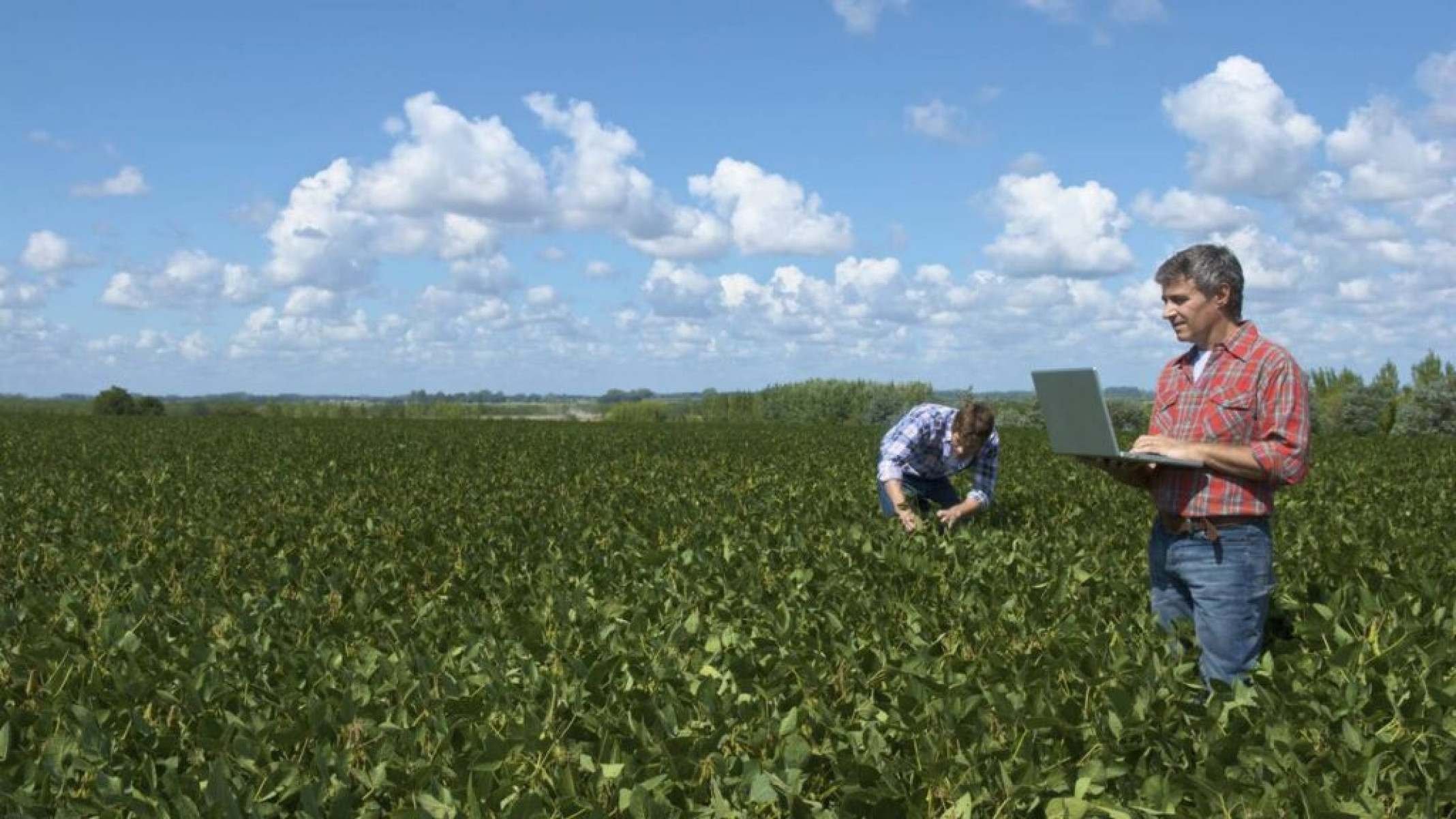 Fertilizante estratégico: por que o Brasil precisa da ureia do Irã - Portal Giro 10