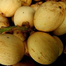 Fruta exótica, Langsat tem polpa translúcida e suculenta -  Ramon FVelasquez/Wikimédia Commons