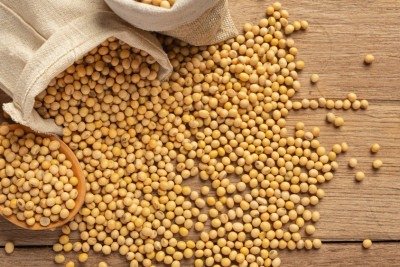 Os gr&atilde;os de soja s&atilde;o a mat&eacute;ria-prima da prote&iacute;na texturizada; depois de transformada em farinha, a soja passa por uma extrus&atilde;o termopl&aacute;stica -  (crédito: jcomp/FreePik)