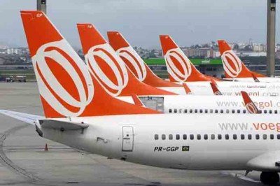 A Justiça do Amazonas determinou que a GOL Linhas Aéreas autorizasse o embarque de um coelho de estimação com a tutora num voo entre Manaus e São Paulo. A companhia havia negado o pedido e sugerido o transporte do animal no porão da aeronave. -  (crédito: Divulgação)