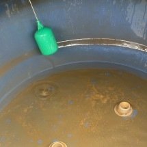 Falta d’água revolta moradores e gera críticas à Copasa em Vespasiano - Arquivo Pessoal/Divulgação