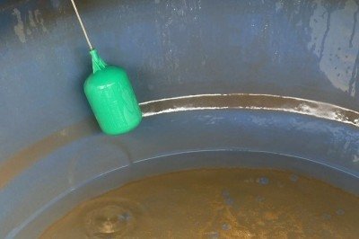 Além da interrupção no fornecimento, morador reclama da qualidade da água -  (crédito: Arquivo Pessoal/Divulgação)