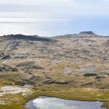Gado introduzido em ilha do Oceano Índico se adaptou a condições inóspitas, mas acabou sendo abatido - Wikimedia Commons/Antoine Lamielle