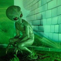 Caso Varginha: novos relatos de testemunhas ganham imprensa internacional - Alexandre Guzanshe/EM/D.A Press