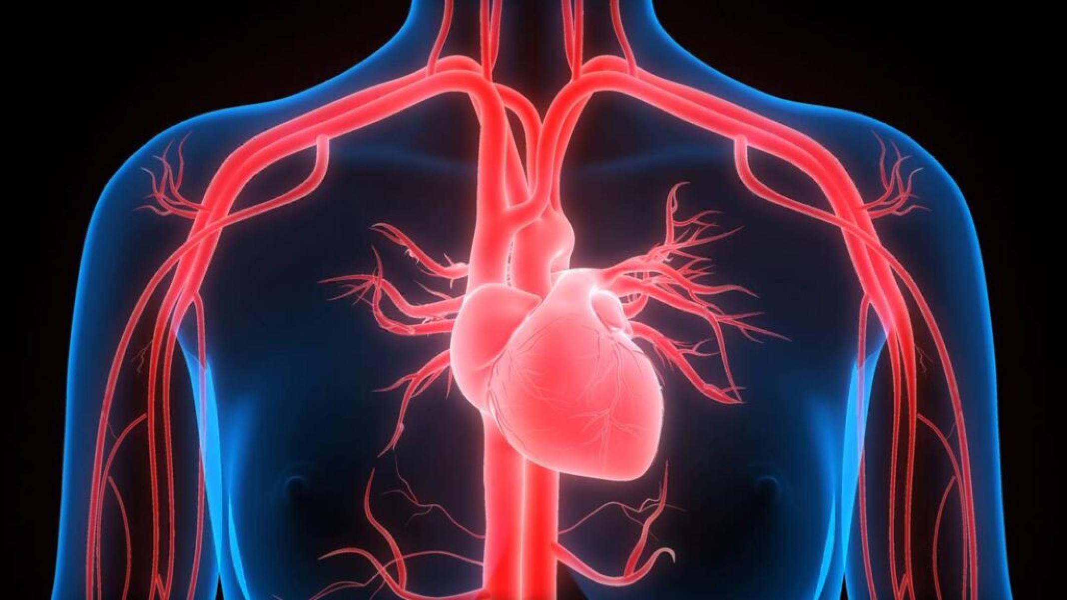 Descubra os benefícios da quercetina e os alimentos que a contêm - Portal Giro 10