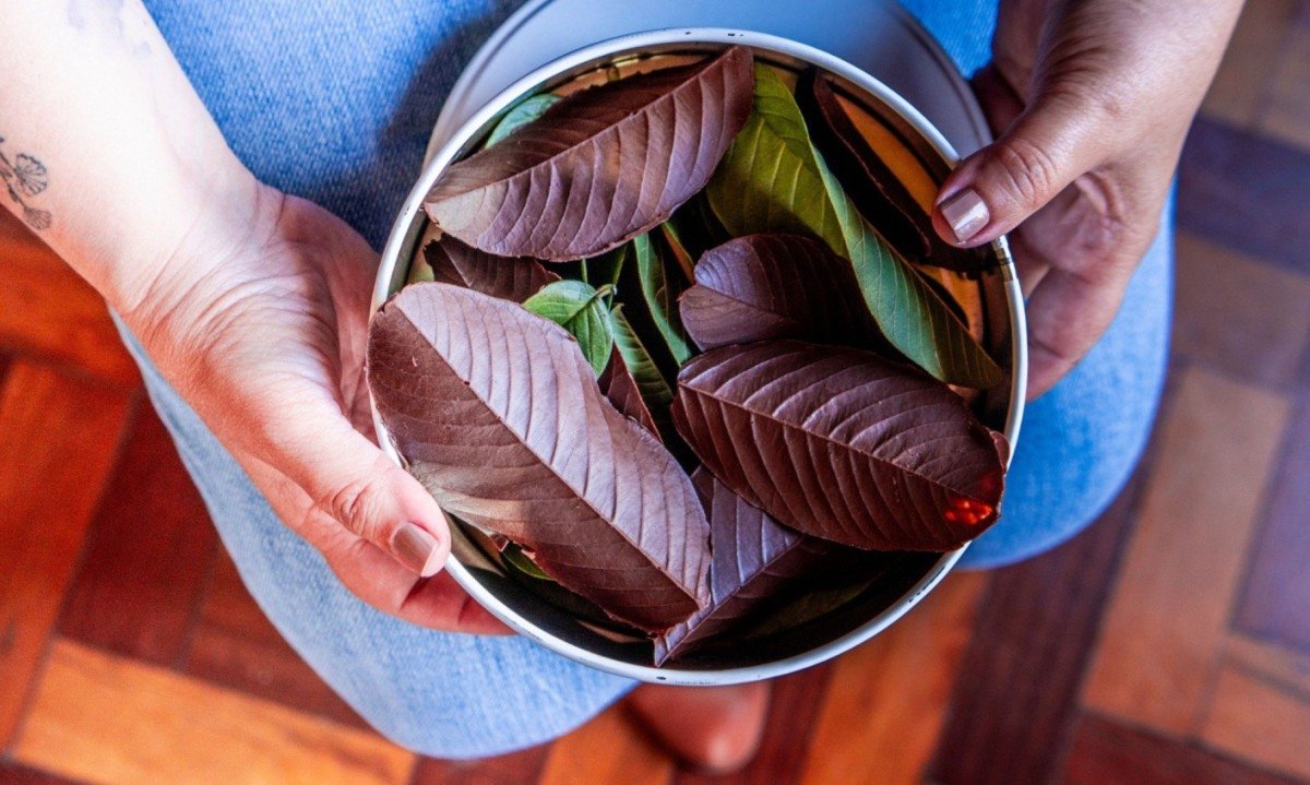 Nashila Cedro/Divulga&ccedil;&atilde;o