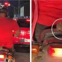 Rato é flagrado ‘pegando carona’ em motocicleta - Instagram / reprodução