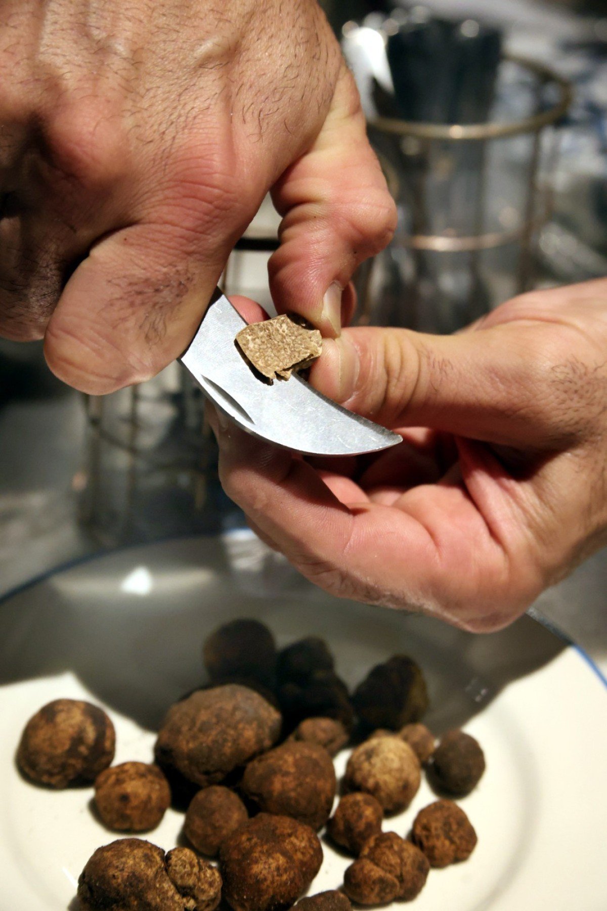 Enquanto na Europa as buscas com c&atilde;es que farejam o fungo j&aacute; se tornaram at&eacute; passeio tur&iacute;stico, aqui as buscas s&atilde;o ainda realizadas por humanos sozinhos