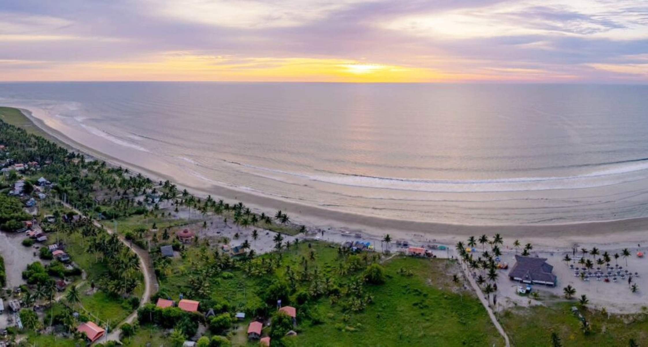 Conheça a incrível “floresta que anda”: ela muda a paisagem do Equador - Portal Giro 10