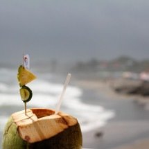 Água de coco: por que ela virou a bebida símbolo do calor - Imagem de Peggy por Pixabay
