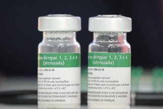 Vacina contra a dengue: 9 perguntas para o infectologista Carlos Starling