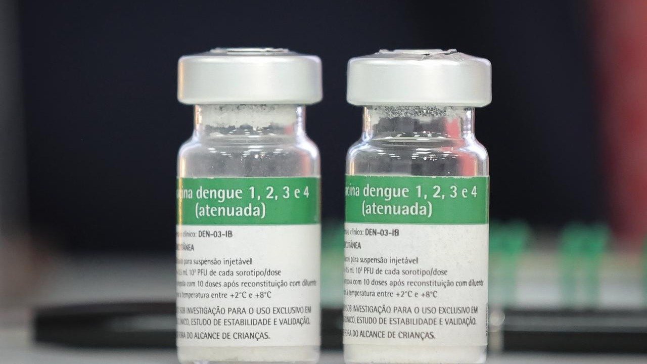 Vacinação contra dengue: quem pode tomar a vacina de dose única e quando - Divulga&ccedil;&atilde;o/ Governo de SP/ Ag&ecirc;ncia SP