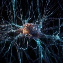 Biomarcador em leucócitos é potencial preditor de depressão -  Djvstock/Freepik