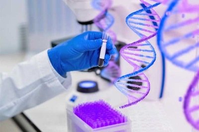 <p>Cientistas da Universidade de Edimburgo descobriram que um gene chamado MC1R, conhecido por influenciar a cor do cabelo e da pele, também afeta a cicatrização de feridas. Pessoas ruivas costumam ter versões menos ativas desse gene, o que ajuda a explicar por que algumas feridas nelas demoram mais para fechar.</p>
 -  (crédito: Imagem Freepik)