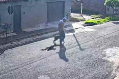 Vídeo: cachorro desmaia após ser arrastado pelo pescoço por pedaço de arame -  (crédito: PCMG/DivulgaÃ§Ã£o)