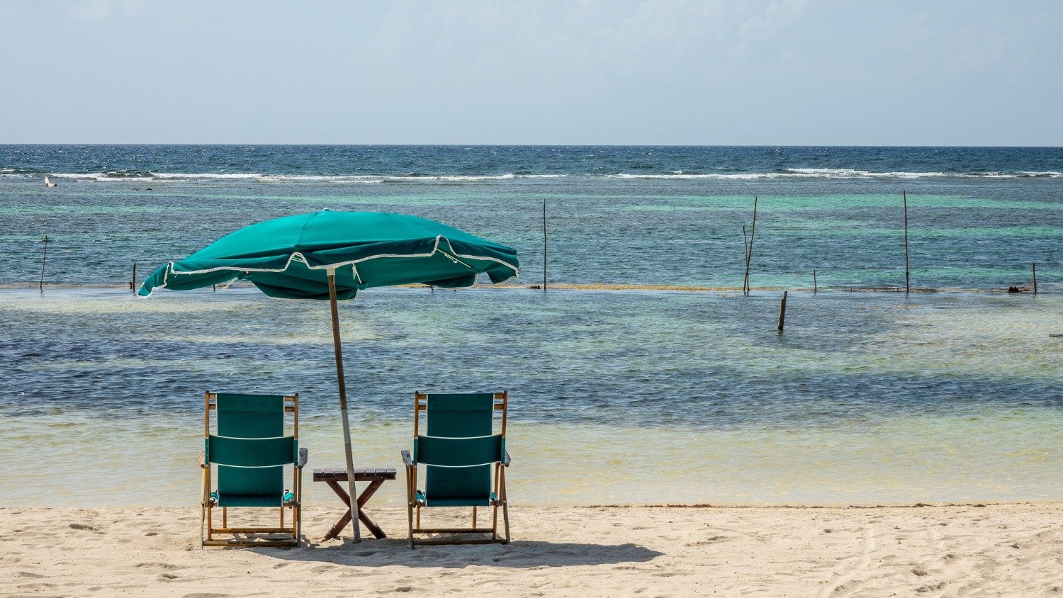 Preço abusivo na viagem? Saiba quais são os seus direitos e como agir - wirestock/ Freepik