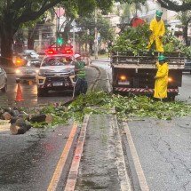 Galho de árvore cai em carro na Região Centro-Sul de BH - Edésio Ferreira/EM/DA Press