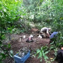 Estudo confirma presença humana nas Cataratas do Iguaçu há seis milênios - Gentileza/Conicet/UNLP