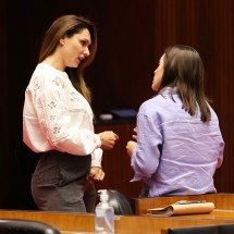 Líder da bancada feminina critica Simões e manifesta apoio a Lud Falcão - Henrique Chendes/ALMG 