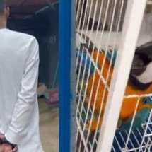 Grande BH: foragido da Justiça do Rio é preso com ave ameaçada de extinção - Divulgação/Sejusp