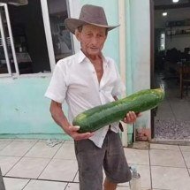 Pepino gigante chama atenção em cidade do interior catarinense - Arquivo Pessoal