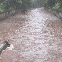 Chuva em BH: Ribeirão Arrudas corre risco de transbordar? - Edésio Ferreira/EM/DA Press