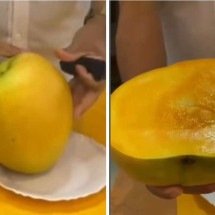  Manga de mais de 2 kg colhida no Ceará é dividida entre 10 pessoas - Redes sociais / reprodução