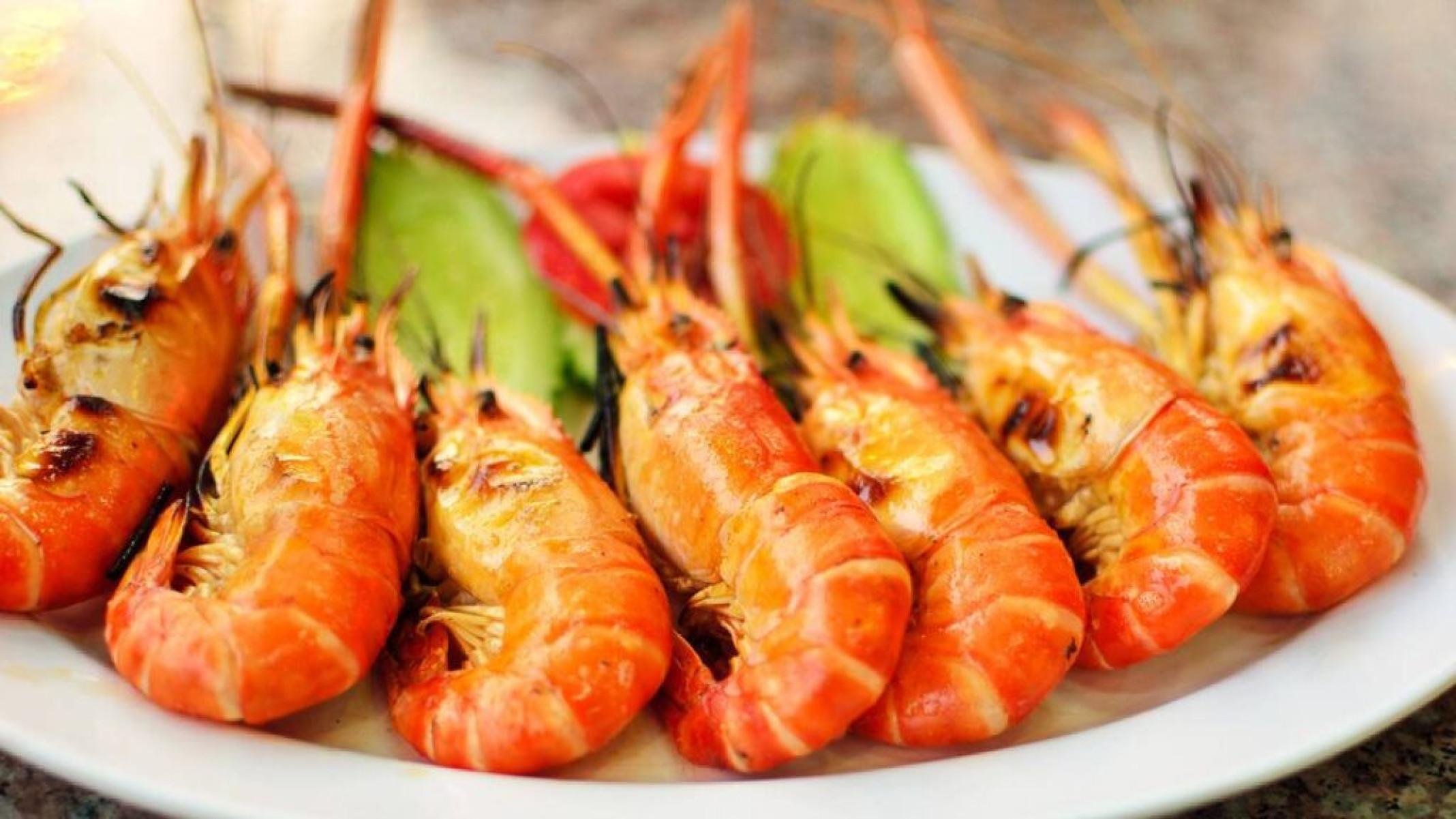 Quando a comida faz mal: guia de alergias e intolerâncias alimentares - Portal Giro 10