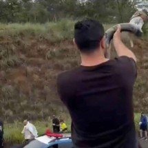 ‘Gado na pista’: homem toca berrante para caminhada de Nikolas - Reprodução/Trompetista