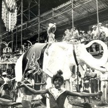 Escolas de samba de BH: conheça as comunidades que mantêm o carnaval vivo -  Arquivo EM. Brasil. Belo Horizonte