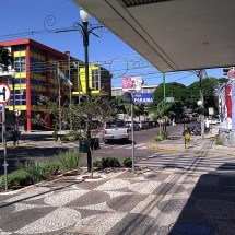 Araras vermelhas encantam moradores e turistas no Sul do Brasil - Leonardo da Silva wikimedia commons 