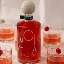 Como drinks com plantas replicam sensação de relaxamento e prazer do álcool - LUCIA/Divulga&ccedil;&atilde;o
