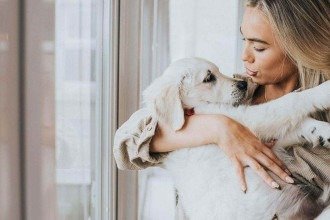 Carinho e banhos demais, companhia e atividades de menos: o que faz mal e o que faz falta para o bem-estar do seu cão
