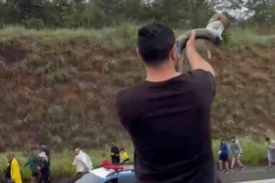 Músico ficou famoso por usar trompete para se manifestar politicamente -  (crédito: Reprodução/Trompetista)