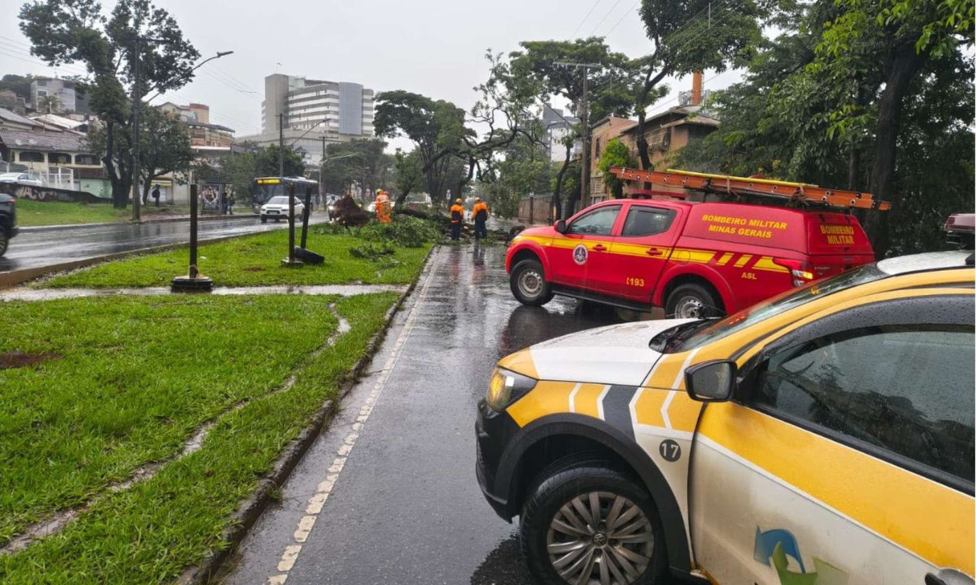 Uma &aacute;rvore de grande porte caiu e interditou a Via do Min&eacute;rio, no Barreiro, em BH, por cerca de meia hora na manh&atilde; desta sexta-feira (23/1)