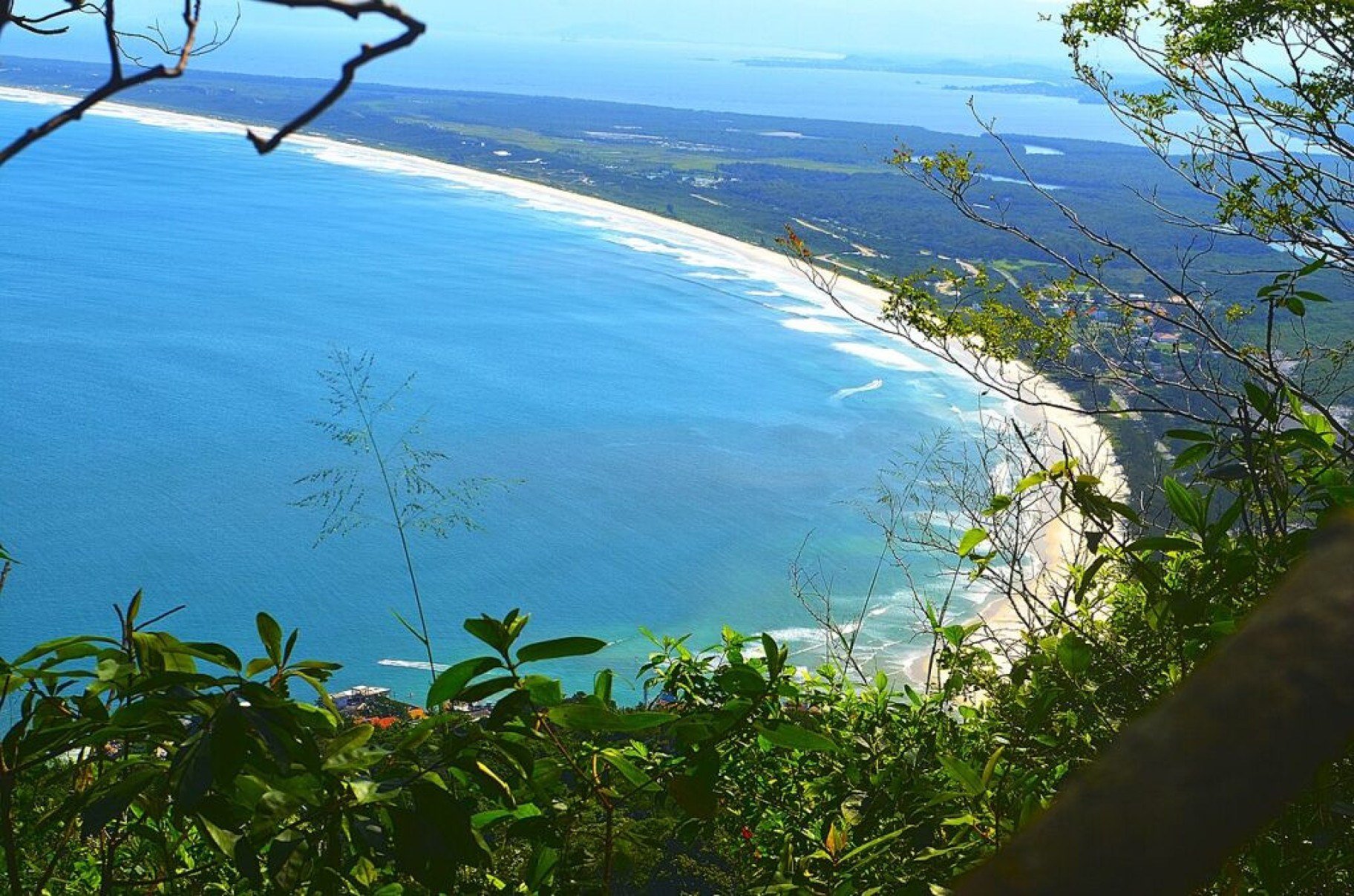 O segredo da Restinga de Marambaia: história, ecossistema e presença militar - Portal Giro 10