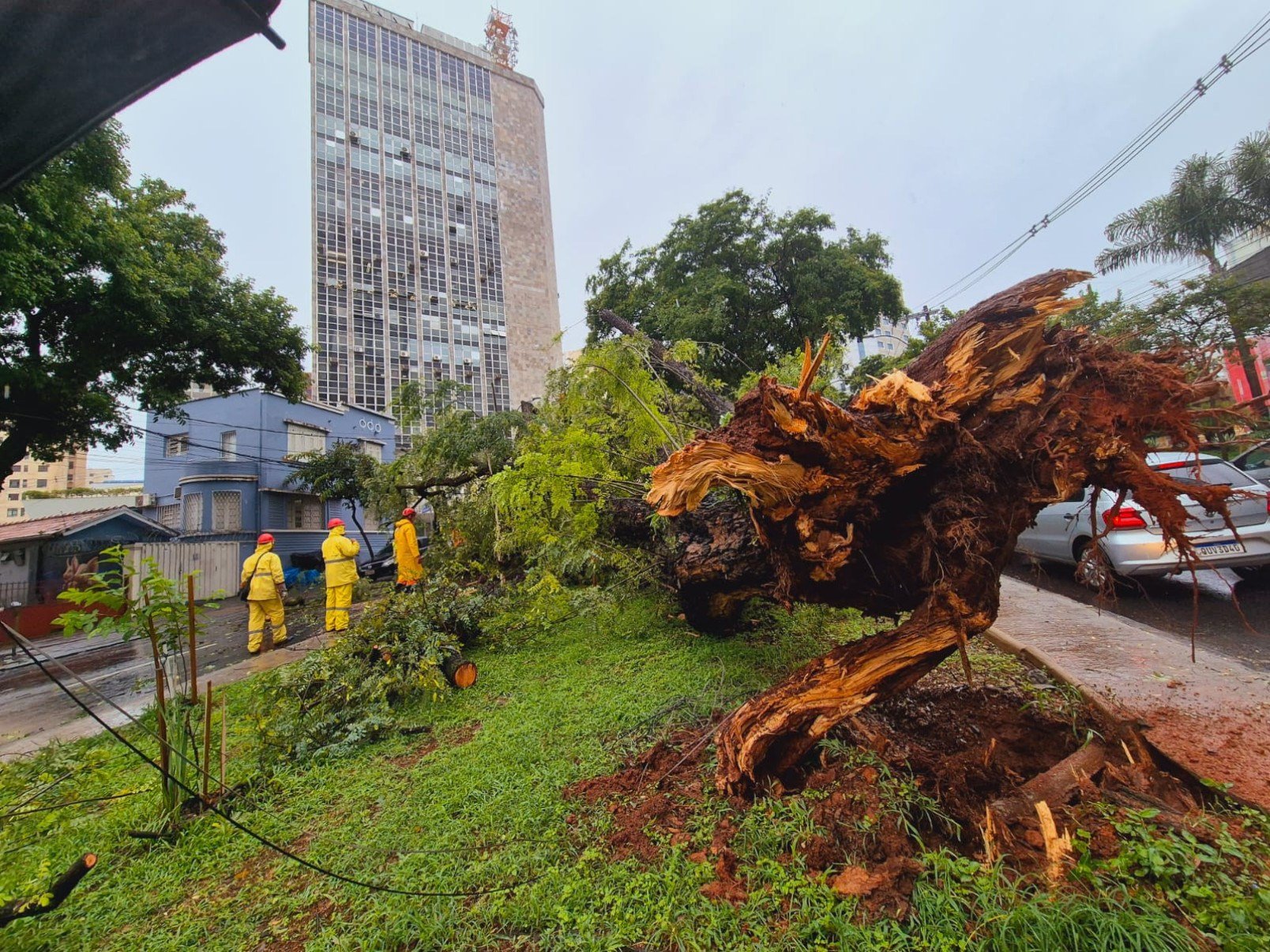 Entre a manhã de quinta-feira (22/1) e a de hoje, o Corpo de Bombeiros atendeu quase 40 ocorrências relacionadas a queda de árvores na Grande BH-Jair Amaral/EM/DA Press